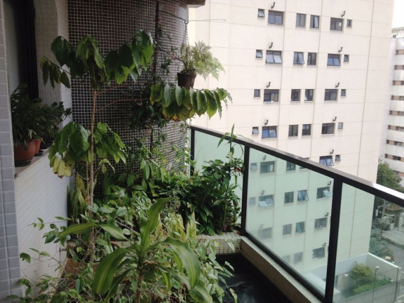 Apartamento com 4 Quartos à Venda, 220 m² em Indianópolis - São Paulo