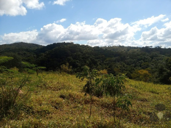 Imagem Imóvel à Venda, 20.000 m² em Roças Novas (caeté - Mg) - Caeté Imagem Imóvel à Venda, 20.000 m² em Roças Novas (caeté - Mg) - Caeté