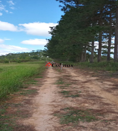 Imagem Terreno à Venda, 500 m² em Depois Do Centro - Ibiúna Imagem Terreno à Venda, 500 m² em Depois Do Centro - Ibiúna