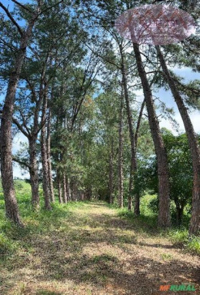 Imagem Terreno à Venda, 87 m² em Capela Do Alto - Capela Do Alto Imagem Terreno à Venda, 87 m² em Capela Do Alto - Capela Do Alto