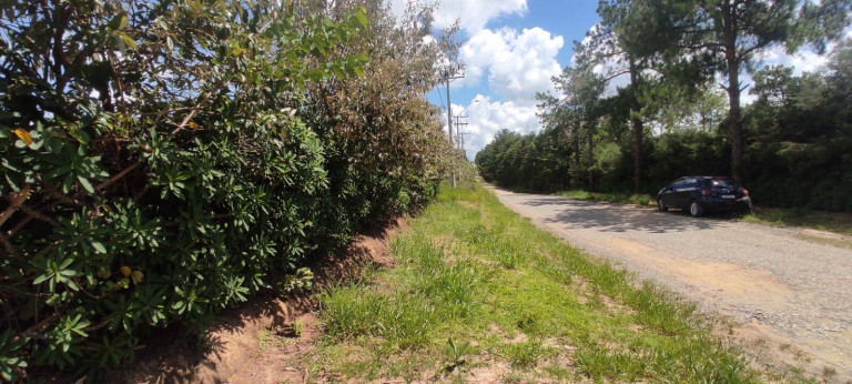 Imagem Chácara com 2 Quartos à Venda, 5.000 m² em Campo Do Meio - Araçoiaba Da Serra