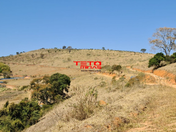 Imagem Imóvel com 2 Quartos à Venda, em Zona Rural De Pouso Alto - Mg - Pouso Alto Imagem Imóvel com 2 Quartos à Venda, em Zona Rural De Pouso Alto - Mg - Pouso Alto