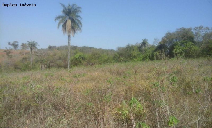 Imagem Terreno à Venda, 25.000 m² em Brejos Estrada De Serra Azul - Mateus Leme Imagem Terreno à Venda, 25.000 m² em Brejos Estrada De Serra Azul - Mateus Leme