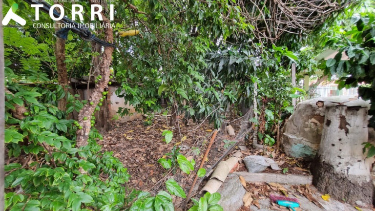 Imagem Terreno à Venda, 204 m² em Vila Progresso - Sorocaba