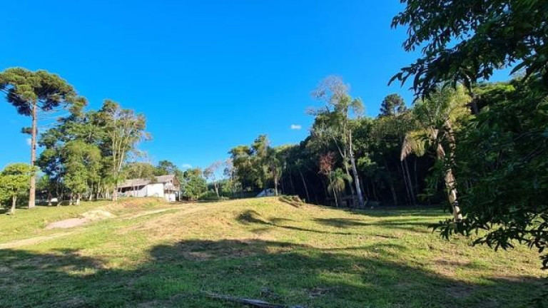 Imagem Imóvel com 3 Quartos à Venda, 32.600 m² em Colônia Retiro - Mandirituba