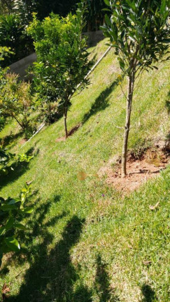 Imagem Casa com 3 Quartos à Venda, 420 m² em Vale Feliz - Teresópolis Imagem Casa com 3 Quartos à Venda, 420 m² em Vale Feliz - Teresópolis