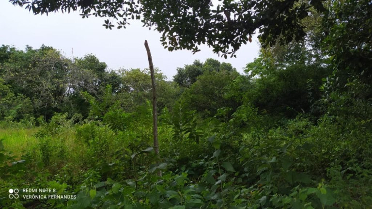 Imagem Terreno à Venda, 5.000 m² em Aldeia Dos Camarás - Camaragibe Imagem Terreno à Venda, 5.000 m² em Aldeia Dos Camarás - Camaragibe