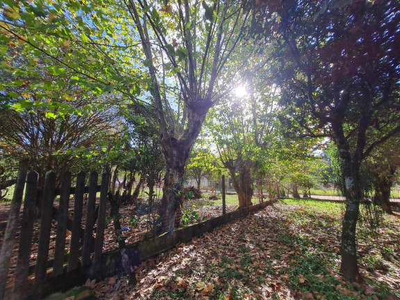Imagem Chácara com 3 Quartos à Venda, 4.840 m² em Centro - Passo Do Sobrado Imagem Chácara com 3 Quartos à Venda, 4.840 m² em Centro - Passo Do Sobrado