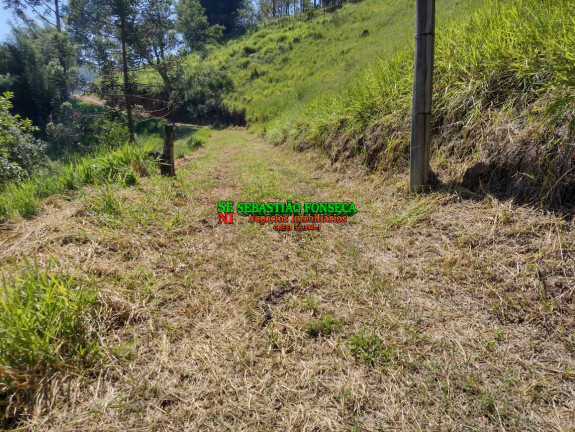Imagem Chácara com 3 Quartos à Venda, 3 m² em Redenção Da Serra Imagem Chácara com 3 Quartos à Venda, 3 m² em Redenção Da Serra