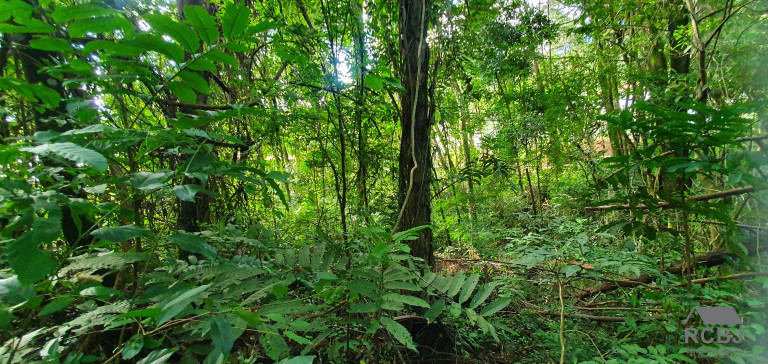 Imagem Terreno à Venda, 1.000 m² em Retiro Do Chalé - Brumadinho