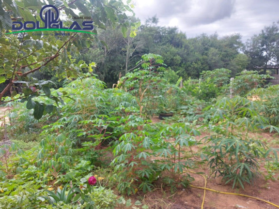 Imagem Casa à Venda, 530 m² em Viamão Imagem Casa à Venda, 530 m² em Viamão