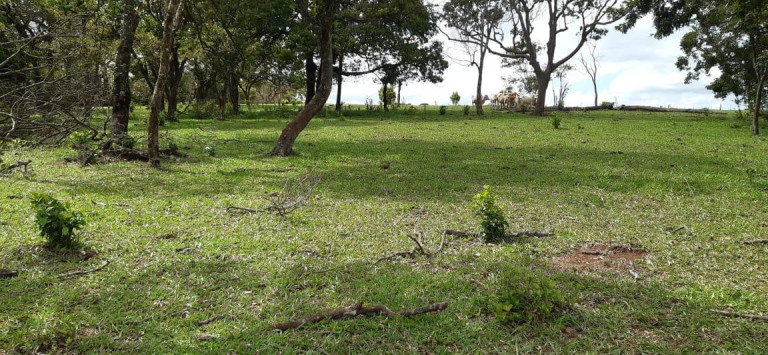 Imagem Chácara à Venda, 13 m² em Rural - Piraju Imagem Chácara à Venda, 13 m² em Rural - Piraju