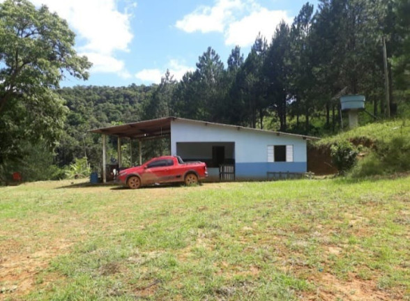 Imagem Imóvel com 2 Quartos à Venda, 187.000 m² em Palmeiras - Juquitiba