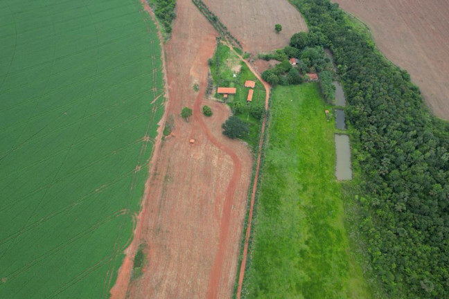 Imagem Fazenda à Venda, 60 m² em Zona Rural - Morrinhos Imagem Fazenda à Venda, 60 m² em Zona Rural - Morrinhos