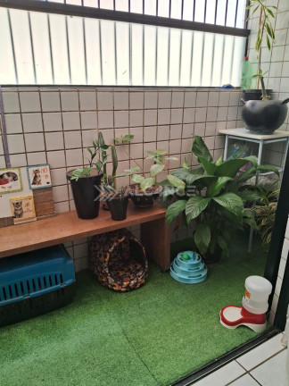 Imagem Apartamento com 3 Quartos à Venda, 86 m² em Bancários - João Pessoa Imagem Apartamento com 3 Quartos à Venda, 86 m² em Bancários - João Pessoa