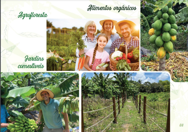 Imagem Terreno à Venda, 400 m² em Abrantes - Camaçari Imagem Terreno à Venda, 400 m² em Abrantes - Camaçari
