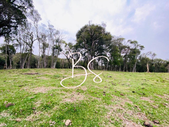 Imagem Terreno à Venda, 48.300 m² em Mato Queimado - Gramado Imagem Terreno à Venda, 48.300 m² em Mato Queimado - Gramado