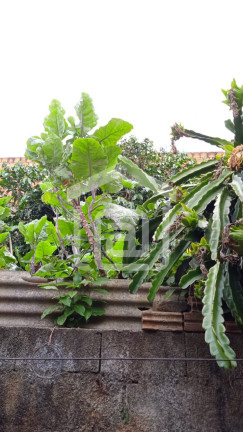 Imagem Casa com 3 Quartos à Venda, 200 m² em Jardim Eldorado - Botelhos