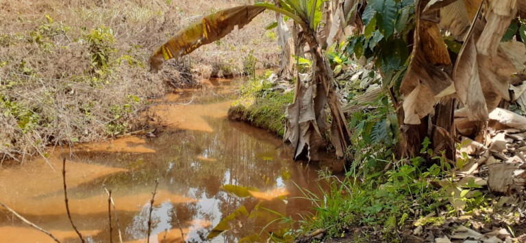 Imagem Imóvel com 2 Quartos à Venda, em Alto São Lourenço - Santa Teresa Imagem Imóvel com 2 Quartos à Venda, em Alto São Lourenço - Santa Teresa