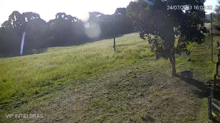 Imagem Imóvel com 4 Quartos à Venda, 206.533 m² em Riozinho De Baixo - Rebouças