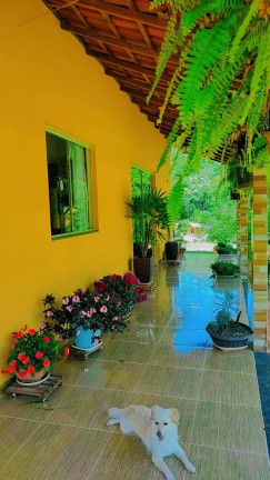Imagem Chácara com 2 Quartos à Venda, 10 m² em Paraju - Domingos Martins