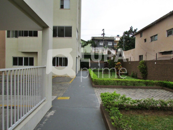 Imagem Apartamento com 2 Quartos à Venda, 52 m² em Cangaíba - São Paulo Imagem Apartamento com 2 Quartos à Venda, 52 m² em Cangaíba - São Paulo