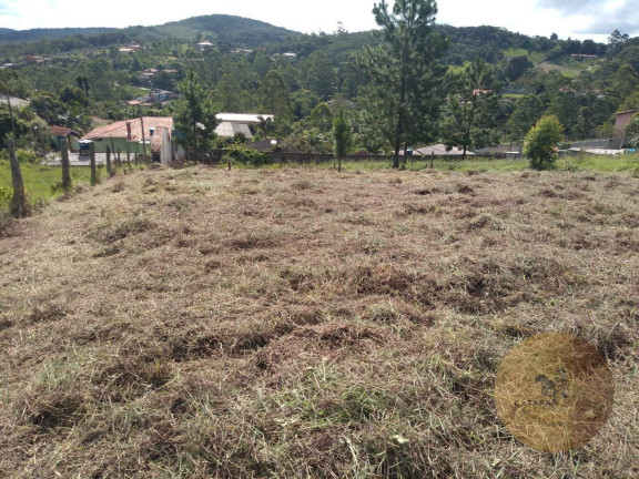 Imagem Terreno à Venda, 2.000 m² em Alpes Paulista (mailasqui) - São Roque Imagem Terreno à Venda, 2.000 m² em Alpes Paulista (mailasqui) - São Roque