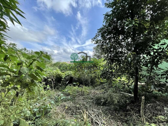 Imagem Terreno à Venda, 907 m² em Vila Santo Antônio - Cotia Imagem Terreno à Venda, 907 m² em Vila Santo Antônio - Cotia