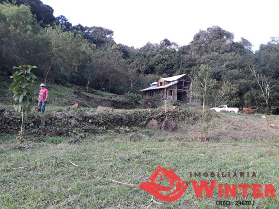 Imagem Chácara à Venda, 21.582 m² em Feliz Imagem Chácara à Venda, 21.582 m² em Feliz