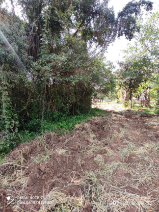 Imagem Chácara com 2 Quartos à Venda, 11 m² em Centro - Salto De Pirapora