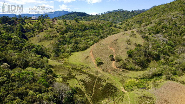 Imagem Chácara à Venda, 1.236.000 m² em Centro - Santo Antônio Do Pinhal Imagem Chácara à Venda, 1.236.000 m² em Centro - Santo Antônio Do Pinhal