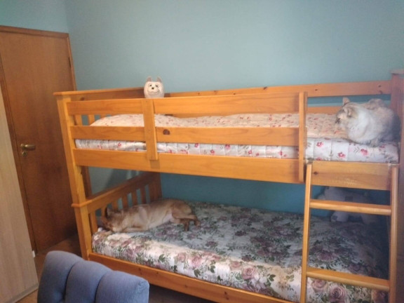 Imagem Apartamento com 3 Quartos à Venda, 74 m² em Centro - Diadema