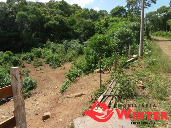 Imagem Terreno à Venda, 600 m² em Vila Nova - Vale Real
