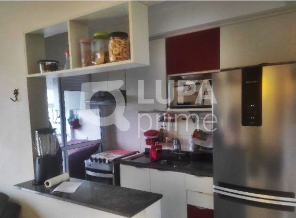 Imagem Apartamento com 2 Quartos à Venda, 50 m² em Vila Nova Cachoeirinha - São Paulo Imagem Apartamento com 2 Quartos à Venda, 50 m² em Vila Nova Cachoeirinha - São Paulo