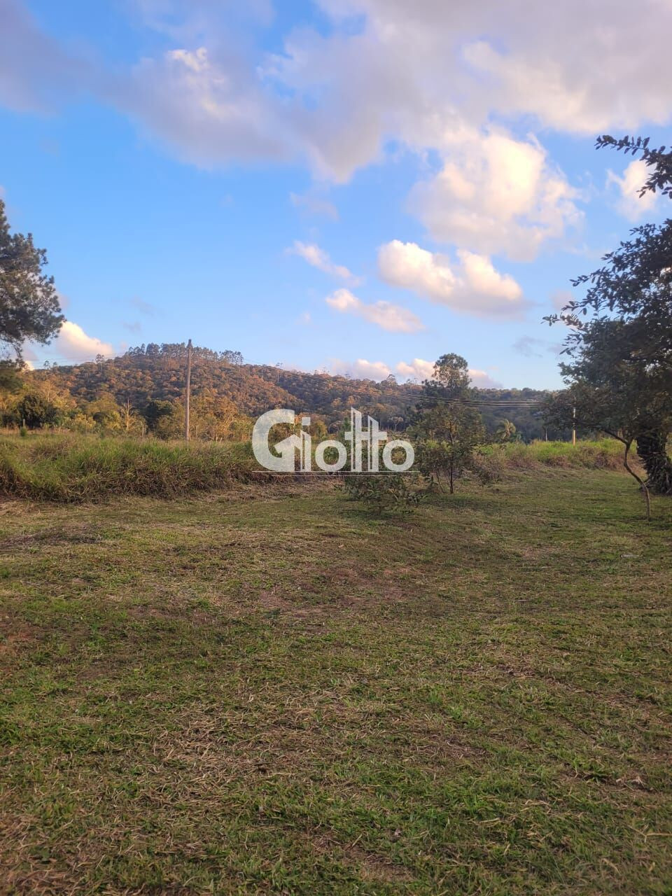 Imagem Imóvel com 3 Quartos à Venda, 17.000 m² em Parque São Martinho - Mogi Das Cruzes