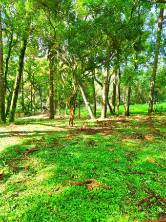 Imagem Chácara com 1 Quarto à Venda, 6.050 m² em Jardim Bela Vista - Balsa Nova Imagem Chácara com 1 Quarto à Venda, 6.050 m² em Jardim Bela Vista - Balsa Nova