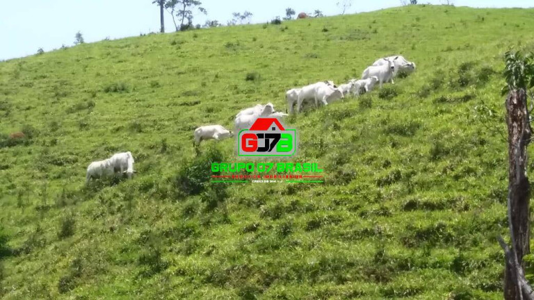 Imagem Fazenda à Venda, 271 m² em área Rural De Pindamonhangaba - Pindamonhangaba Imagem Fazenda à Venda, 271 m² em área Rural De Pindamonhangaba - Pindamonhangaba