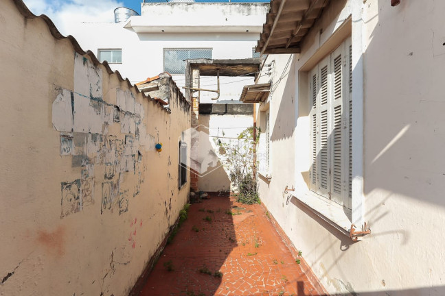 Imagem Casa com 5 Quartos à Venda, 250 m² em Cambuci - São Paulo Imagem Casa com 5 Quartos à Venda, 250 m² em Cambuci - São Paulo