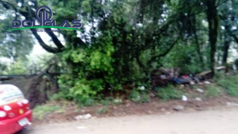 Imagem Terreno à Venda, 1.960 m² em Viamão Imagem Terreno à Venda, 1.960 m² em Viamão