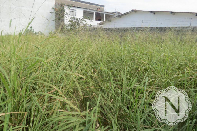 Imagem Terreno à Venda, 250 m² em Cibratel I - Itanhaém