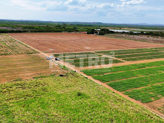 Imagem Fazenda à Venda, em área Rual - Petrolina Imagem Fazenda à Venda, em área Rual - Petrolina