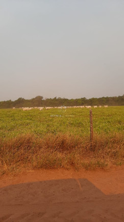 Imagem Imóvel com 3 Quartos à Venda, 49.937 m² em Nova Ubiratã - Nova Ubiratã