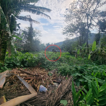 Imagem Terreno à Venda, 1.000 m² em Boiçucanga - São Sebastião Imagem Terreno à Venda, 1.000 m² em Boiçucanga - São Sebastião