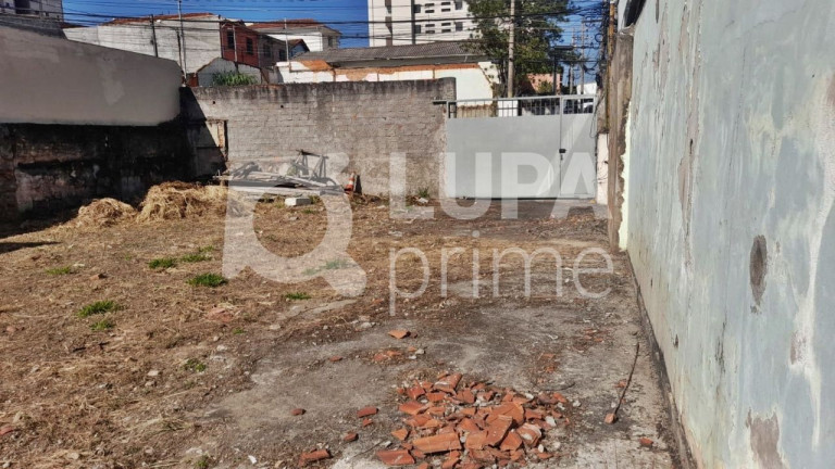 Imagem Terreno para Alugar, 480 m² em Vila Guilherme - São Paulo Imagem Terreno para Alugar, 480 m² em Vila Guilherme - São Paulo
