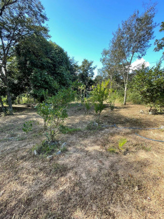Imagem Chácara com 2 Quartos à Venda, 7.800 m² em Quintas Da Capela Nova - Itatiaiuçu