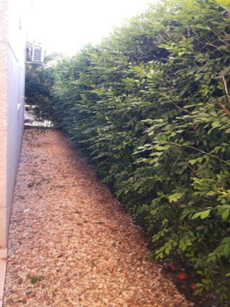 Imagem Apartamento com 3 Quartos à Venda, 58 m² em Campos Elíseos - Ribeirão Preto Imagem Apartamento com 3 Quartos à Venda, 58 m² em Campos Elíseos - Ribeirão Preto