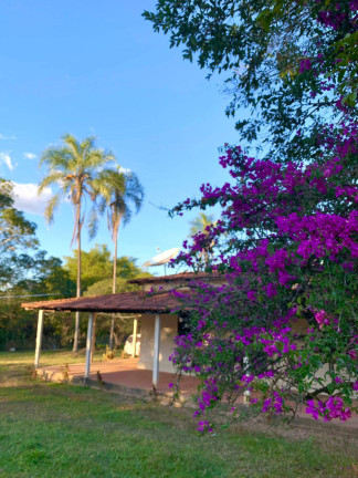Imagem Chácara com 4 Quartos à Venda, 8 m² em Abadiânia