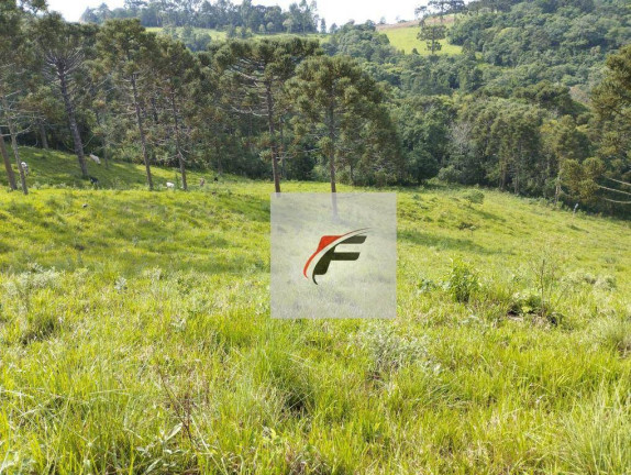 Imagem Chácara à Venda, 121.000 m² em Centro - Santa Maria Do Oeste Imagem Chácara à Venda, 121.000 m² em Centro - Santa Maria Do Oeste