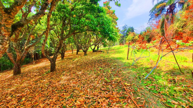 Imagem Imóvel à Venda, 246 m² em Loteamento Bosque Dos Palmares - Atibaia Imagem Imóvel à Venda, 246 m² em Loteamento Bosque Dos Palmares - Atibaia