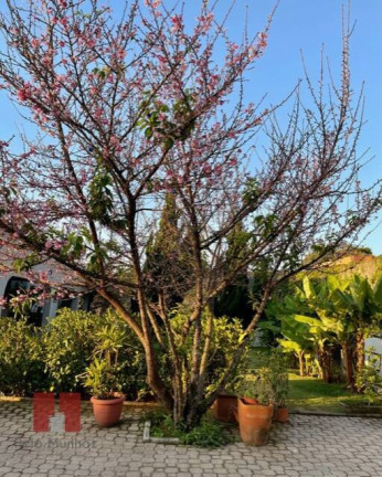 Imagem Casa com 6 Quartos à Venda, 2.564 m² em Vila Velha - Santana De Parnaíba Imagem Casa com 6 Quartos à Venda, 2.564 m² em Vila Velha - Santana De Parnaíba